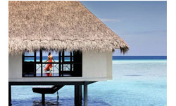 設計酒店：四季酒店集團（Four Seasons Hotels & Resorts）