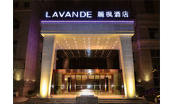 中端連鎖酒店設計：麗楓酒店