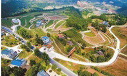 巴中精品酒店設計公司